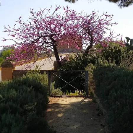 Atena Διαμέρισμα Αγκριτζέντο